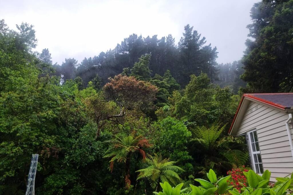 Pinehaven Cottage هوت العليا المظهر الخارجي الصورة